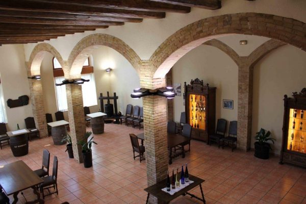 Ruta en segway i tast al celler (3h)
