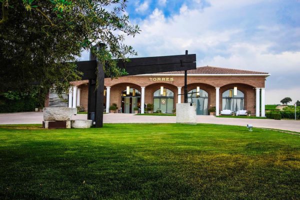 Ruta en segway i tast al celler (3h)