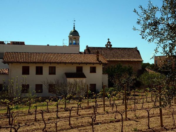 Ruta en segway i tast al celler (3h)