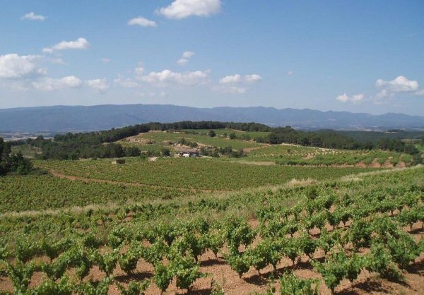 segway penedes tour