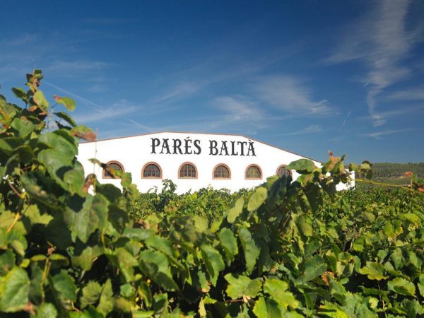 Ruta en segway i tast al celler (3h)
