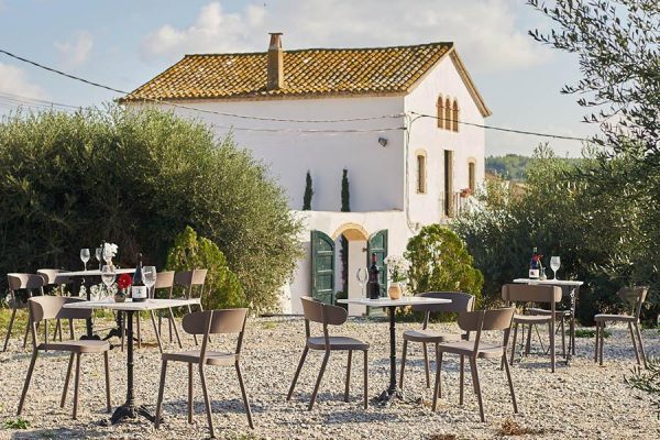 Ruta en segway i tast al celler (3h)