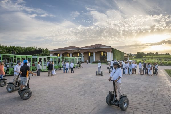 Ruta en segway i tast al celler (3h)