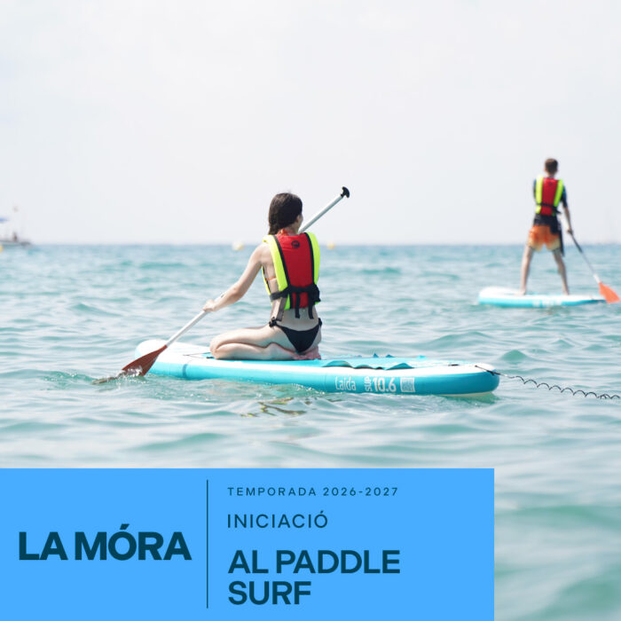 Paddle Surf Introduction in La Mora