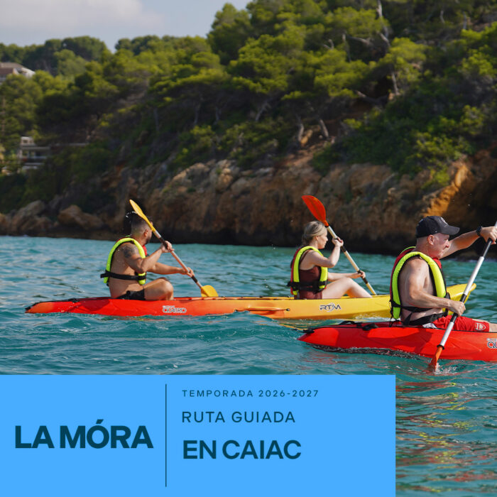 Ruta guiada en kayak en La Mora