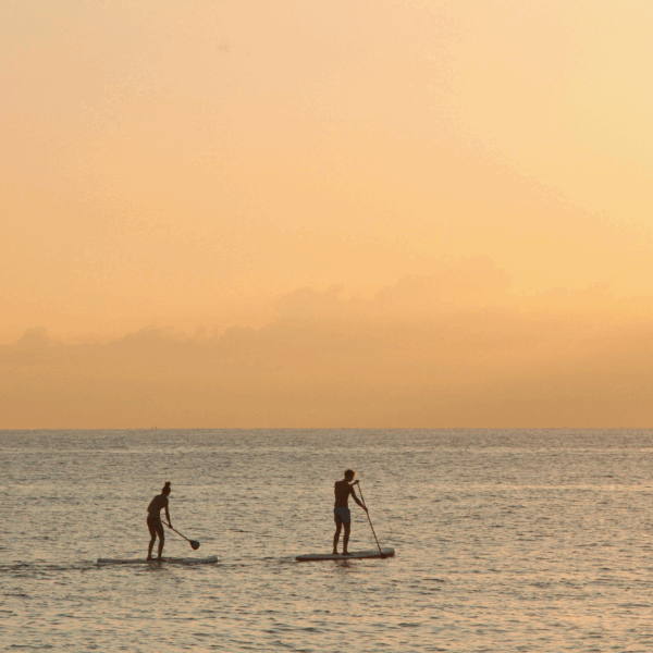Sunset paddleboarding tour on the Costa Daurada