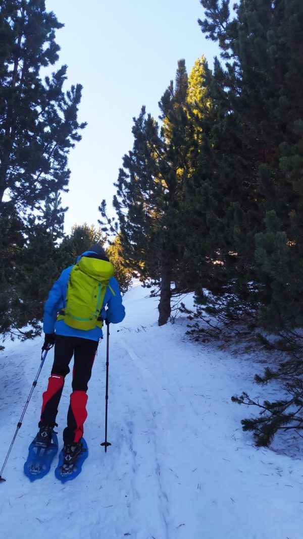 Excursió amb raquetes de neu a Port del Comte