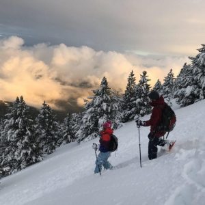 raquetas de nieve en port del comte