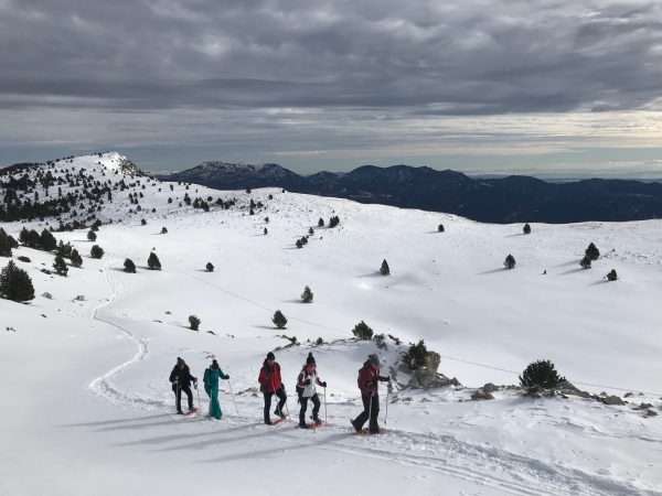 Excursió amb raquetes de neu a Port del Comte