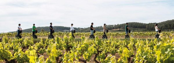 Penedès tour en Segway (1h, 1'5h o 2h)