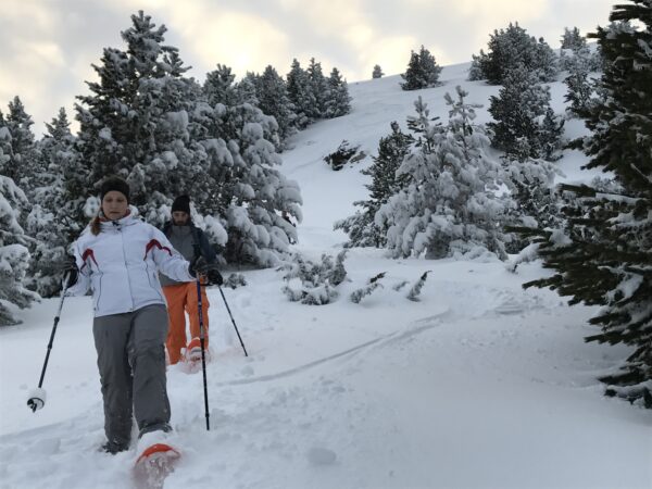 Excursió amb raquetes de neu a Port del Comte