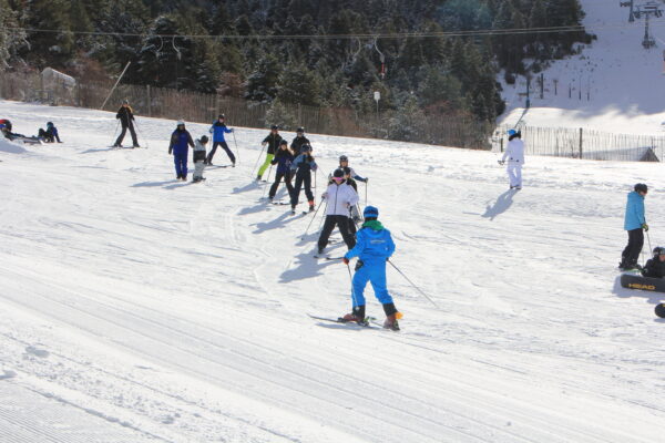 5-day ski course on either Saturdays or Sundays in La Molina