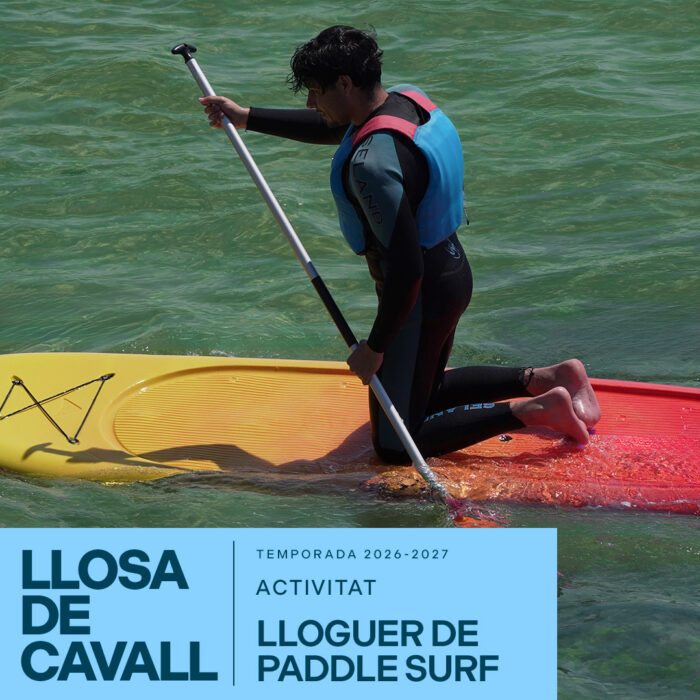 Alquiler de paddle surf en La Llosa del Cavall