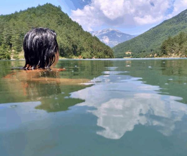 Lloguer de paddle surf a La Llosa del Cavall