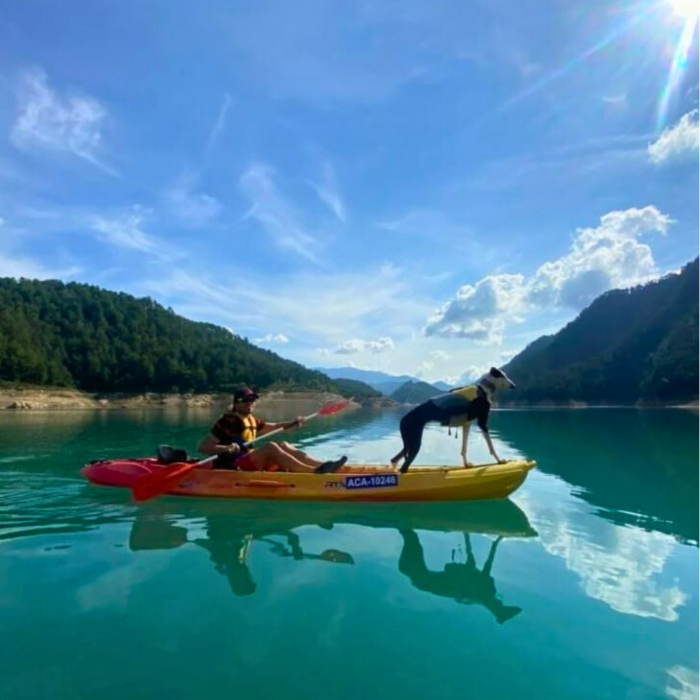 kayak amb gossos