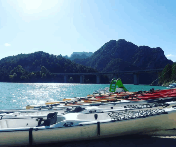 Lloguer de patinet a La Llosa del Cavall
