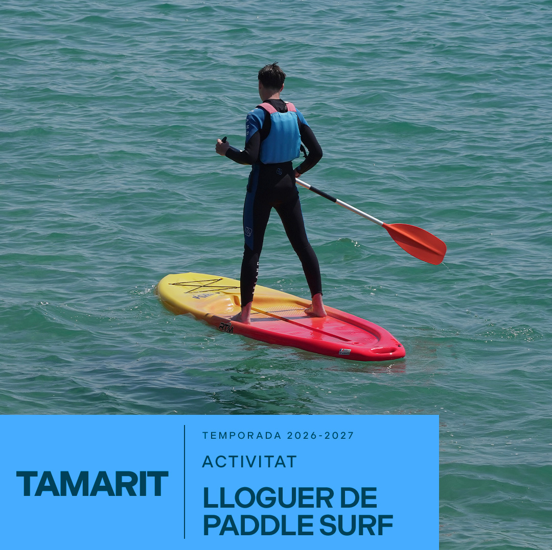 Paddle Surf Rental in Tamarit