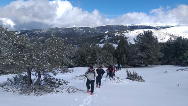Excursió amb raquetes de neu a La Cerdanya