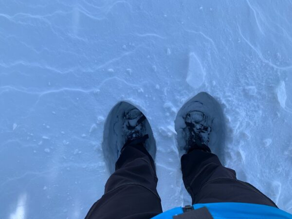 Excursió amb raquetes de neu a La Cerdanya